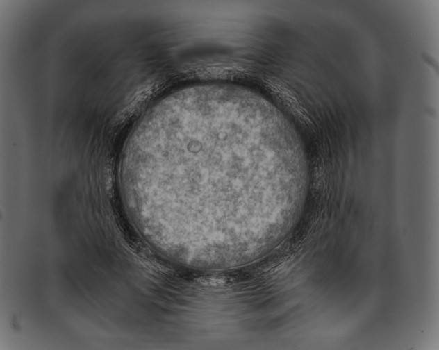 X0000094800687200712141653