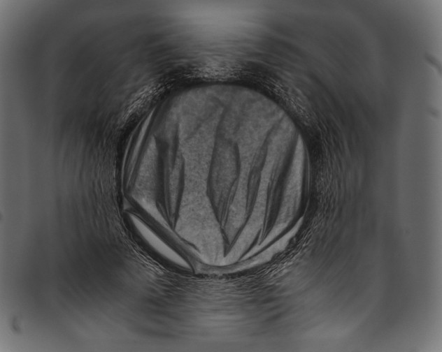 X0000094800689200712141653