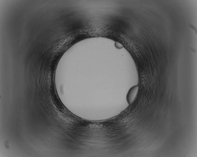 X0000094800690200712141653