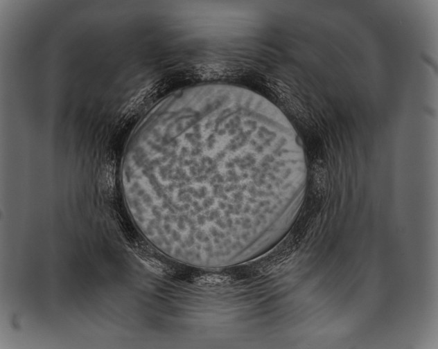 X0000094800691200712141653