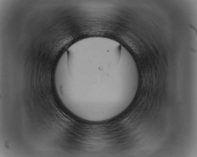 X0000094800692200712141653