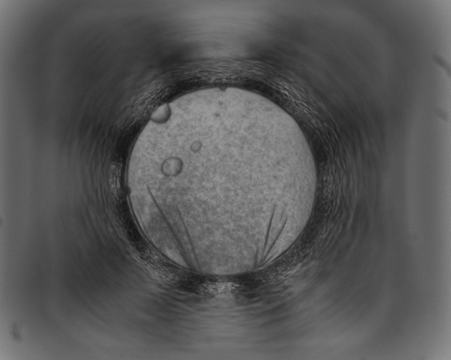 X0000094800695200712141653