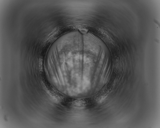 X0000094800696200712141653