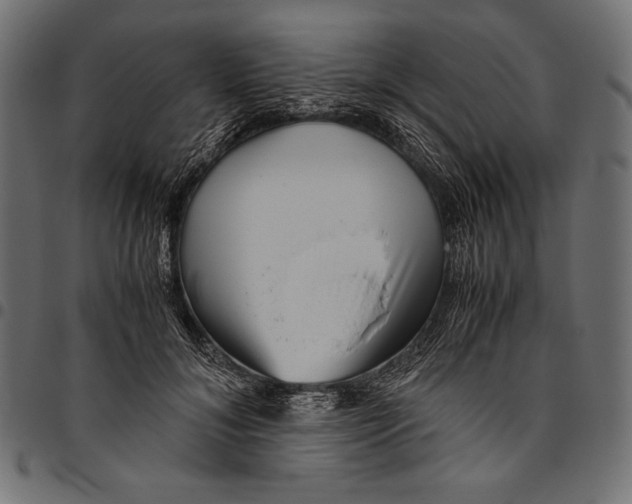 X0000094800700200712141652