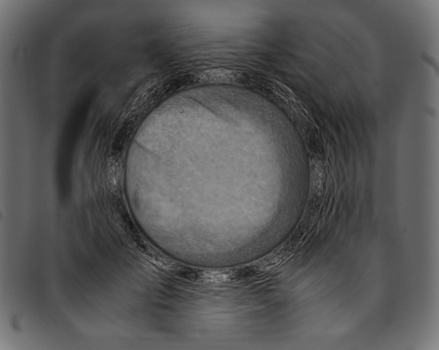 X0000094800701200712141652