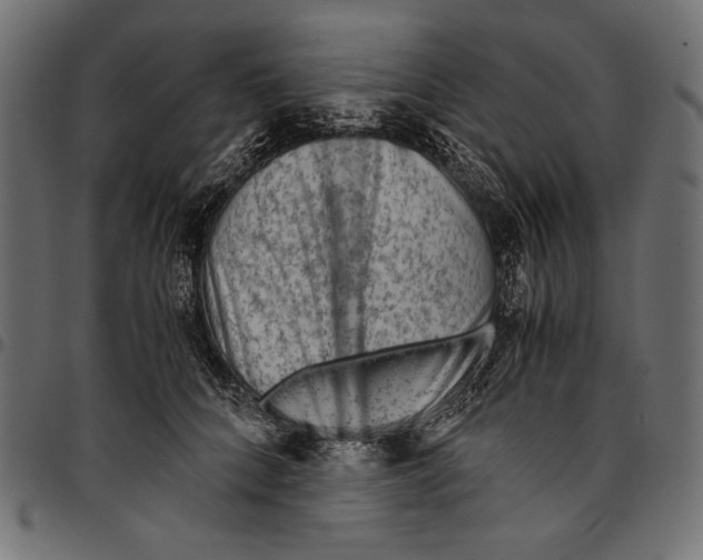 X0000094800704200712141652