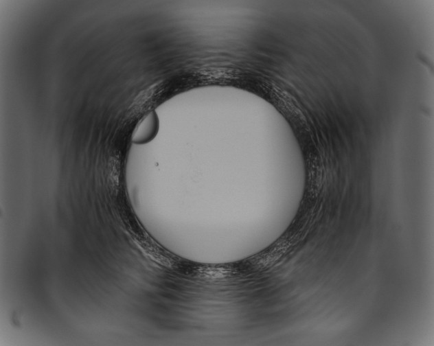 X0000094800710200712141652