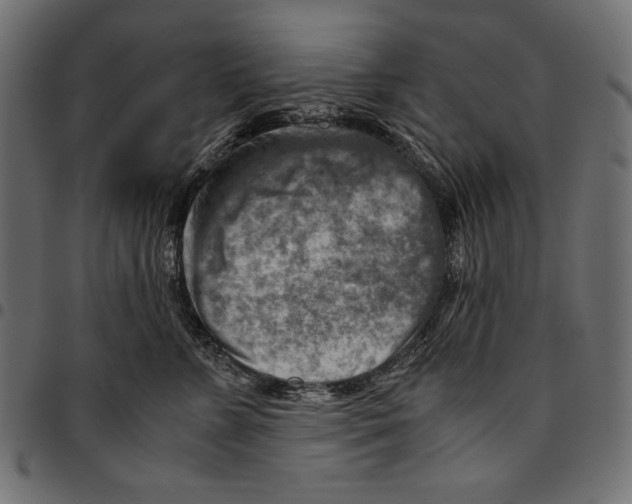 X0000094800715200712141652
