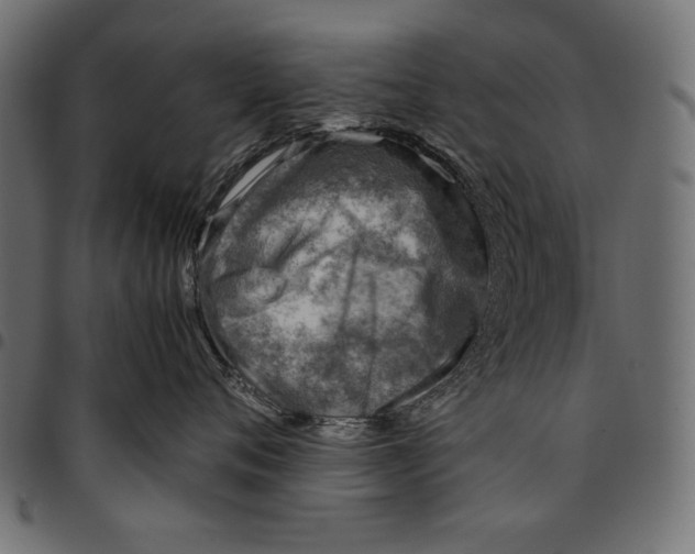 X0000094800720200712141652