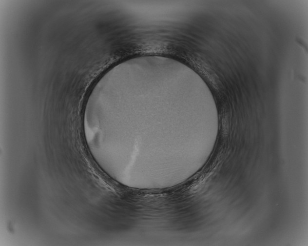 X0000094800721200712141652