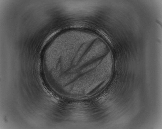 X0000094800724200712141652