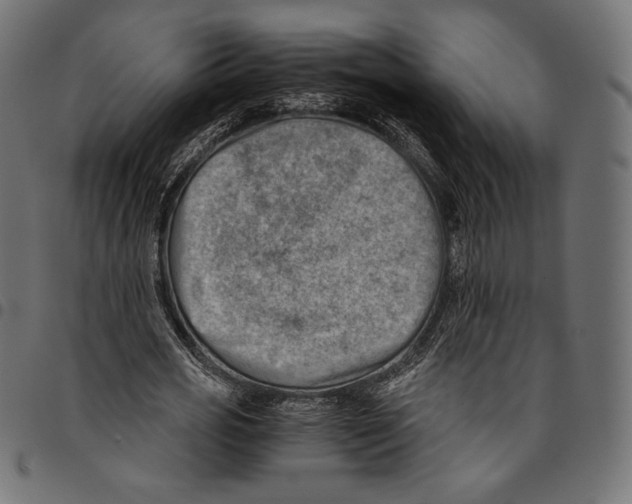 X0000094800725200712141652