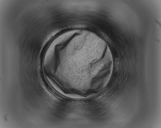 X0000094800726200712141652