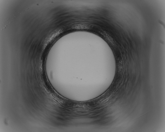 X0000094800727200712141652