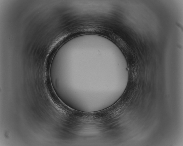 X0000094800728200712141652