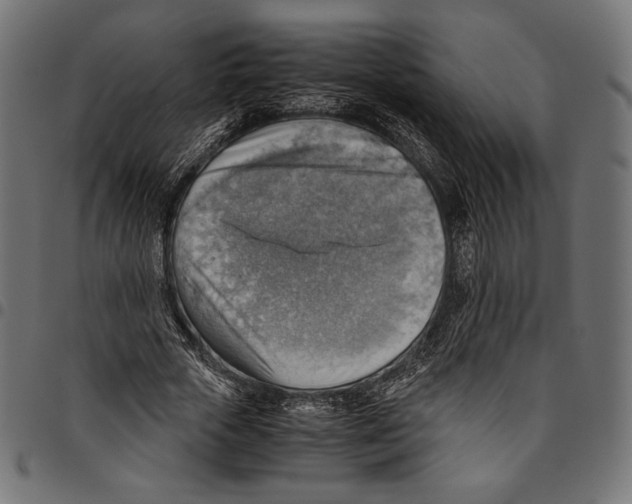 X0000094800729200712141652