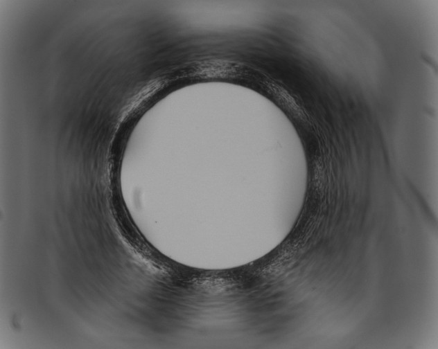 X0000094800730200712141652