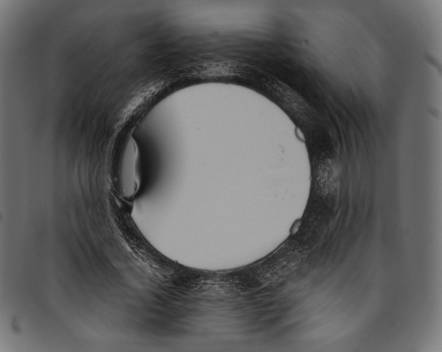 X0000094800732200712141652