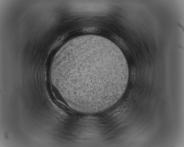X0000094800734200712141652