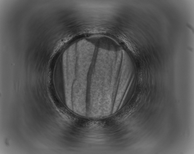 X0000094800736200712141652