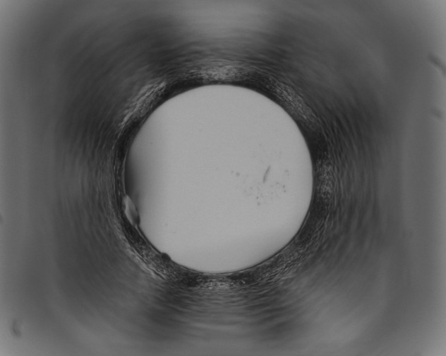X0000094800738200712141652