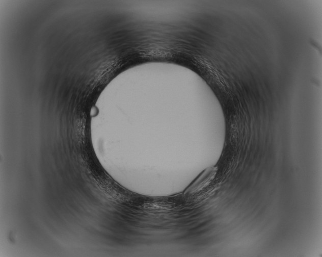 X0000094800739200712141652