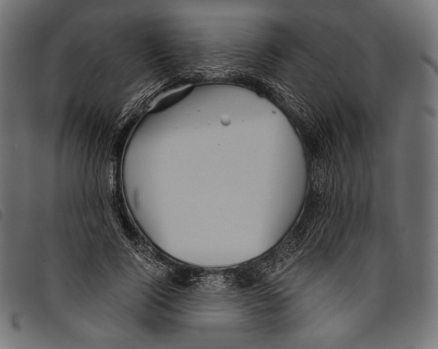 X0000094800740200712141652