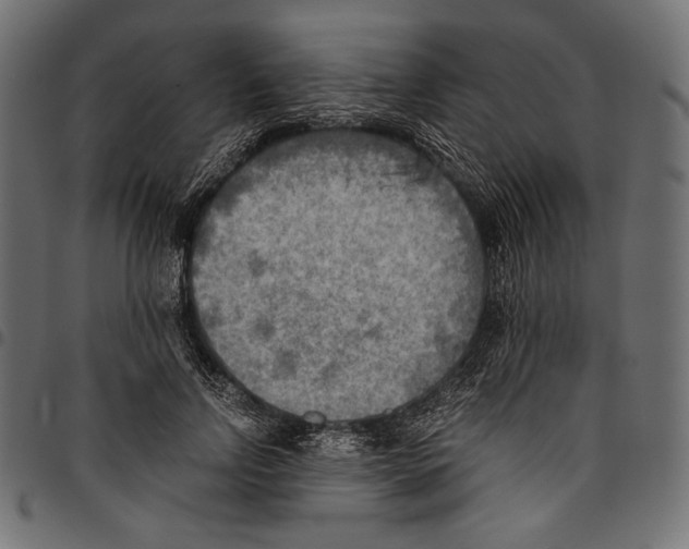 X0000094800742200712141652