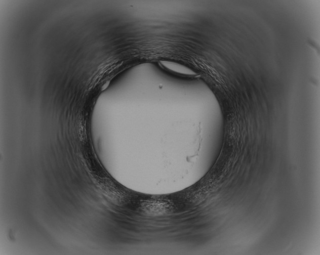X0000094800743200712141652