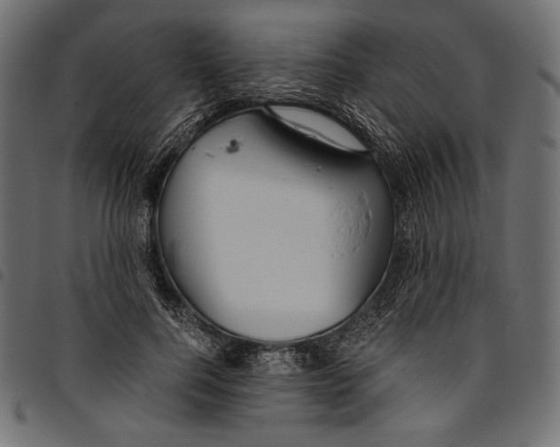 X0000094800744200712141652