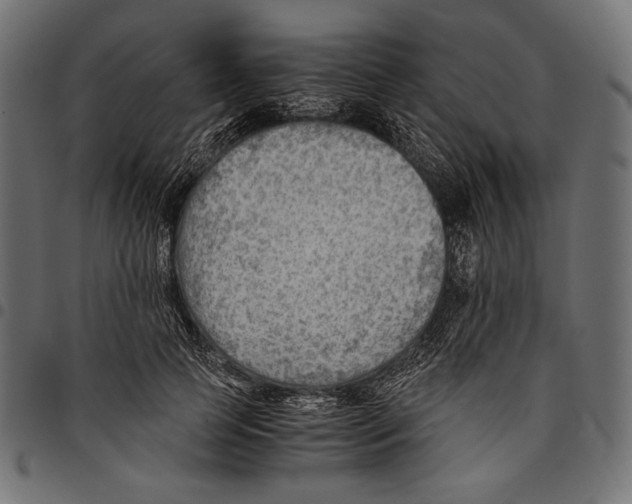X0000094800745200712141652