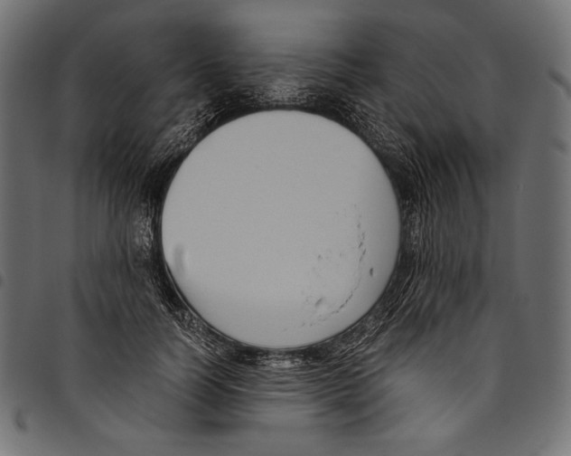 X0000094800746200712141652
