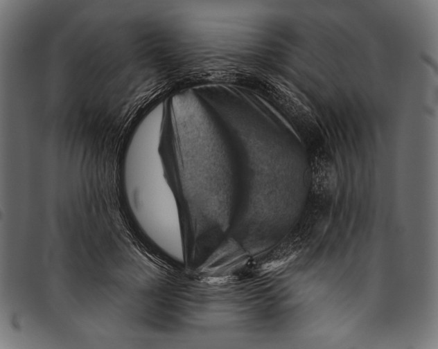X0000094800748200712141652