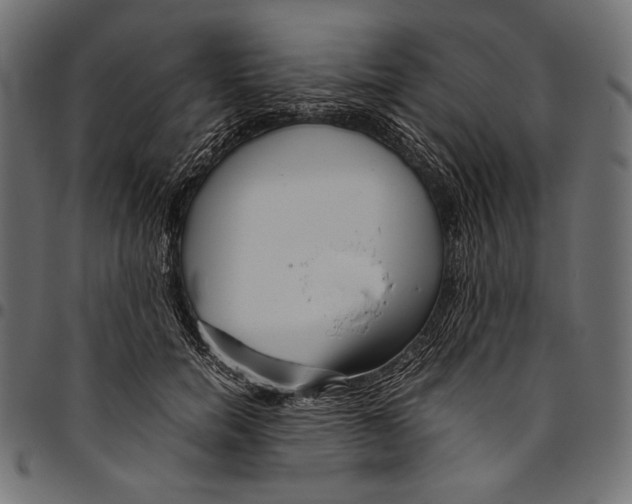 X0000094800750200712141652