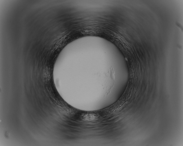 X0000094800751200712141652