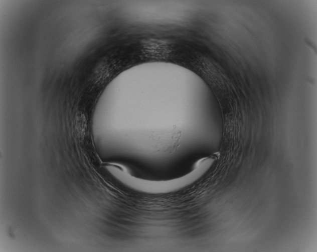 X0000094800752200712141652