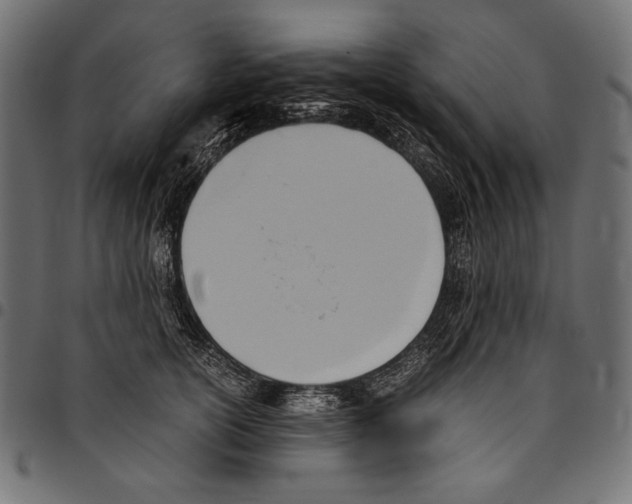 X0000094800754200712141652