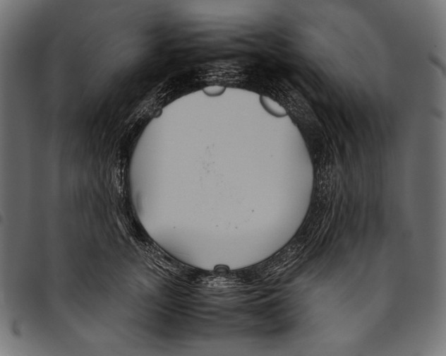 X0000094800755200712141652