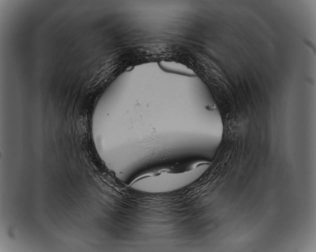 X0000094800756200712141652
