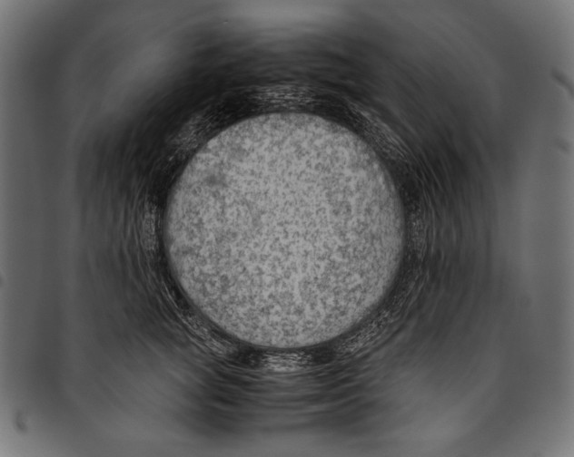 X0000094800757200712141652