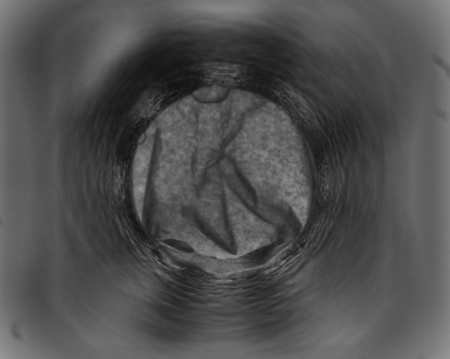 X0000094800759200712141652