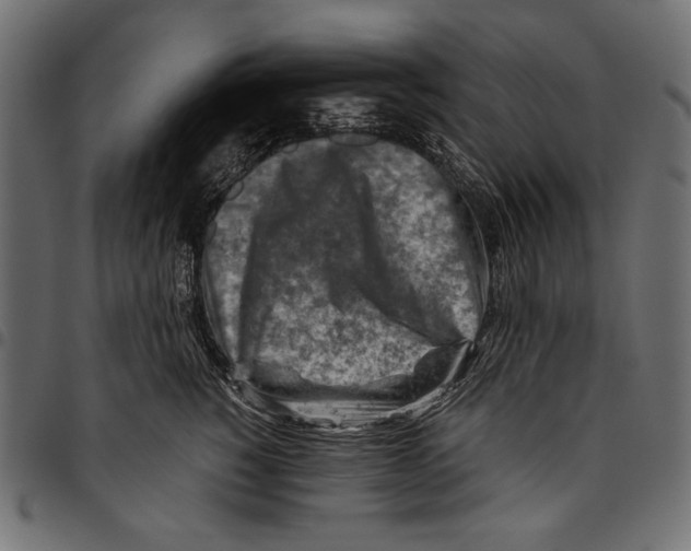 X0000094800760200712141652