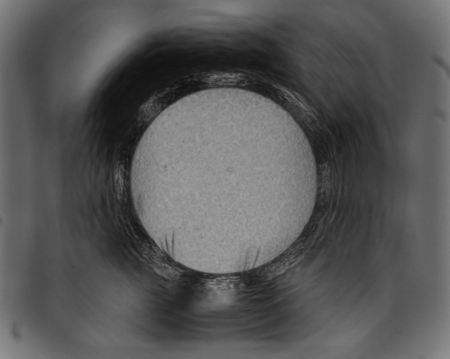 X0000094800761200712141652