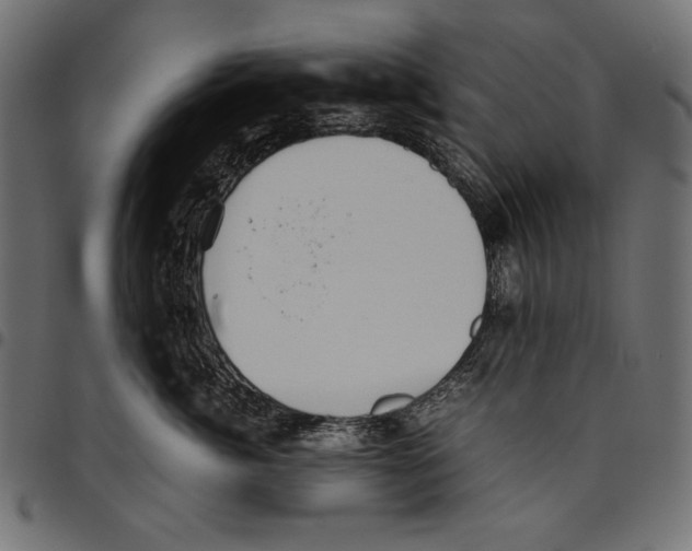 X0000094800764200712141652
