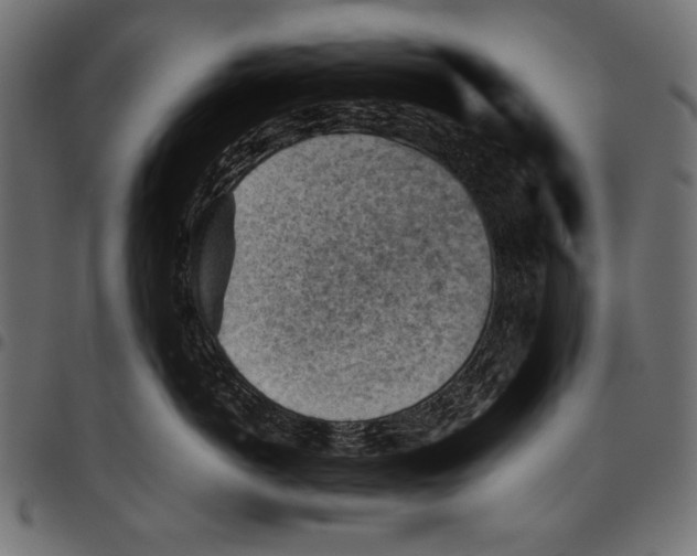 X0000094800766200712141652