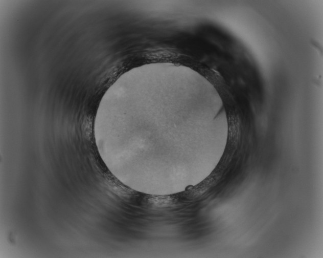 X0000094800767200712141652