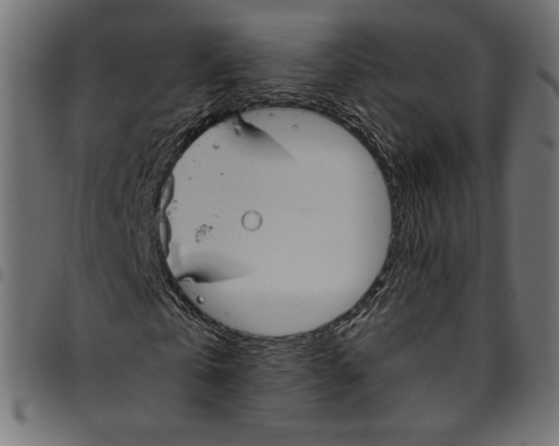 X0000094800769200712141652