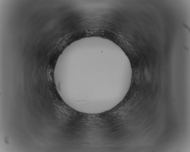 X0000094800770200712141652