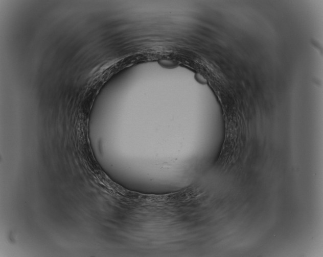 X0000094800773200712141651