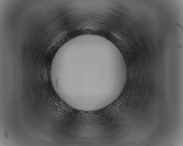 X0000094800774200712141651